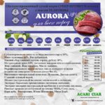 Acari Ciar Aurora Light 2
