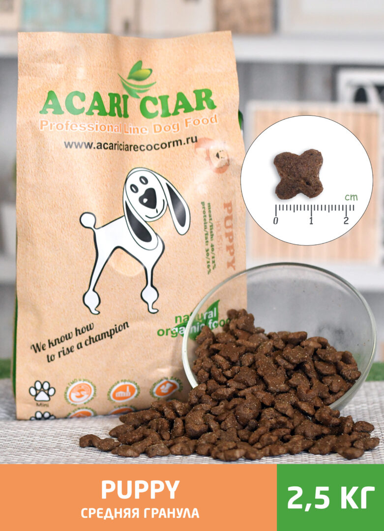 Acari Ciar Puppy 4 Acari Ciar Puppy 4