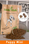 Acari Ciar Puppy 5 Acari Ciar Puppy 5