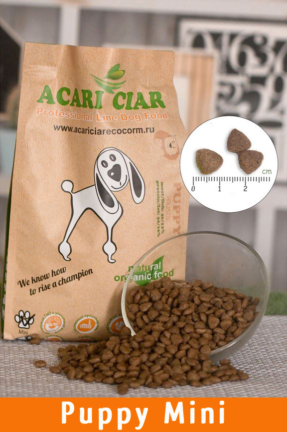 Acari Ciar Puppy 5 Acari Ciar Puppy 5