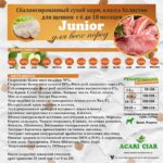 Acari Ciar Junior 3