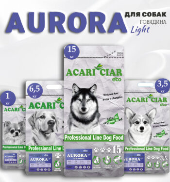 Acari Ciar Aurora Light 1