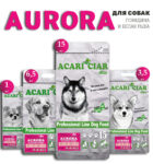 Acari Ciar Aurora 1