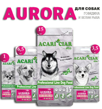 Acari Ciar Aurora 1
