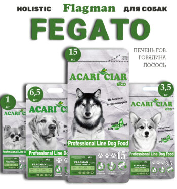 Acari Ciar Fegato 1