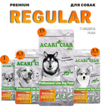 Acari Ciar Regular 1