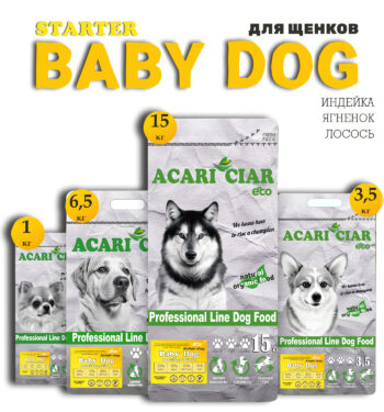 Acari Ciar BabyDog Starter 1