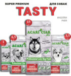 Acari Ciar Tasty