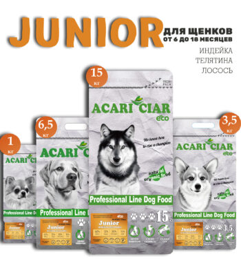 Acari Ciar Junior 1