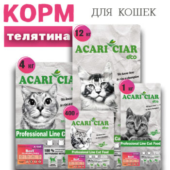 Телятина для взрослых кошек 1