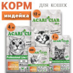 Индейка для взрослых кошек 1