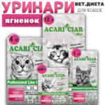 Уринари, Ягненок для кошек при МКБ