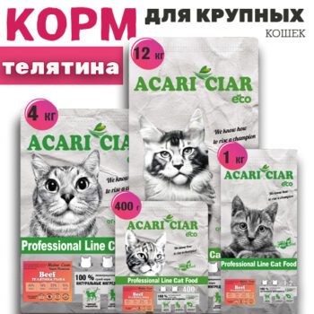 Maine Coon Beef Super Premium 1