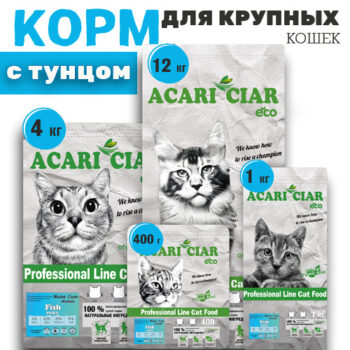 Maine Coon Fish Holistic 1