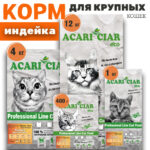 Maine Coon Turkey Super Premium 1