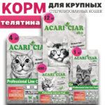 Vet A`Cat Sterilized Maine Coon Beef Holistic 1