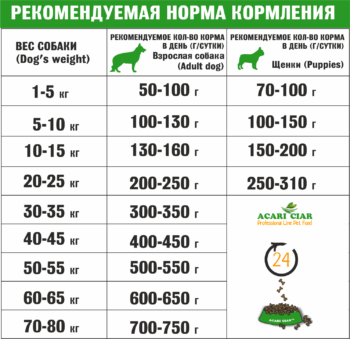 ДЛЯ БЕЛЫХ собак, Ягненок 2