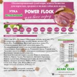 Acari Ciar Power Flock УТКА 2