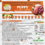 Acari Ciar Puppy 3 Acari Ciar Puppy 3