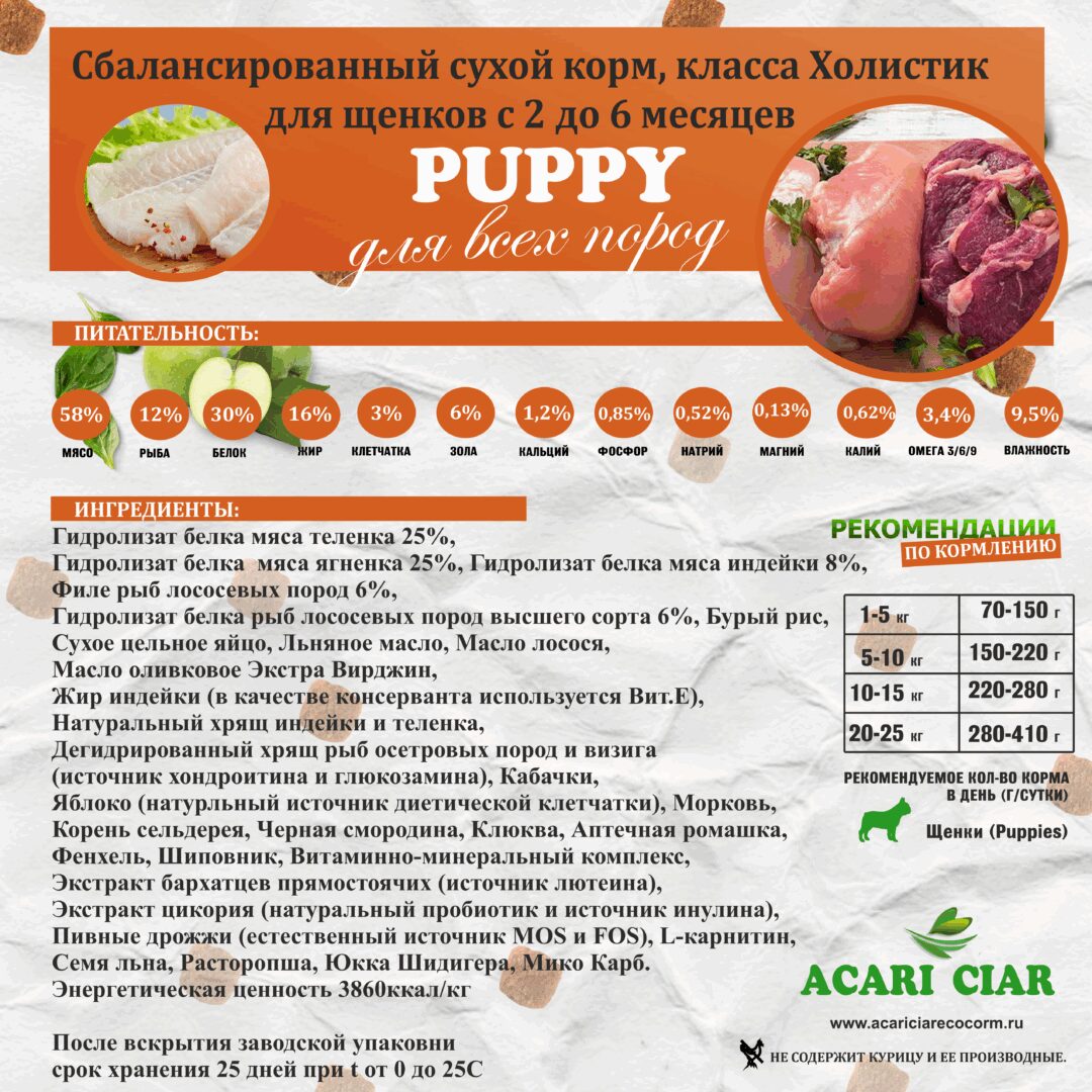 Acari Ciar Puppy 3 Acari Ciar Puppy 3