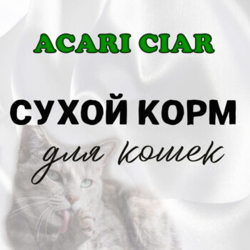 Сухой корм для кошек