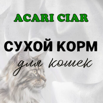 Сухой корм для крупных кошек