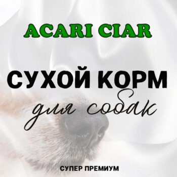 Сухой корм для собак