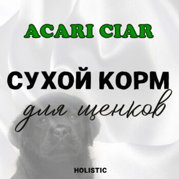 Сухой корм для щенков