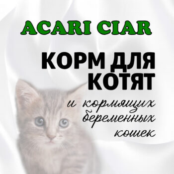 Корм для котят и кормящих кошек